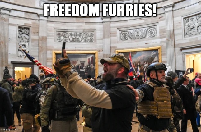 Capitol Riot 1/6 Insurrection Selfie Militia Terrorist | FREEDOM FURRIES! | image tagged in capitol riot 1/6 insurrection selfie militia terrorist | made w/ Imgflip meme maker