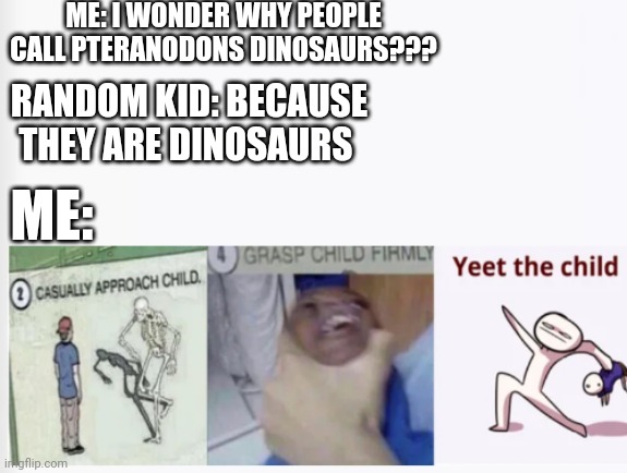 Casually Approach Child, Grasp Child Firmly, Yeet the Child | ME: I WONDER WHY PEOPLE CALL PTERANODONS DINOSAURS??? RANDOM KID: BECAUSE THEY ARE DINOSAURS; ME: | image tagged in casually approach child grasp child firmly yeet the child,yeet the child,dinosaurs | made w/ Imgflip meme maker