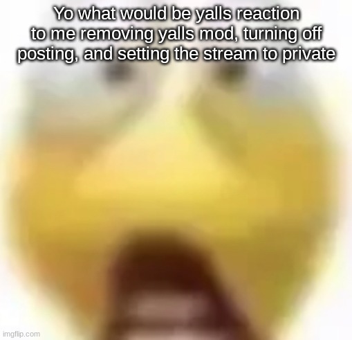 unfortunately I can't | Yo what would be yalls reaction to me removing yalls mod, turning off posting, and setting the stream to private | image tagged in shocked | made w/ Imgflip meme maker