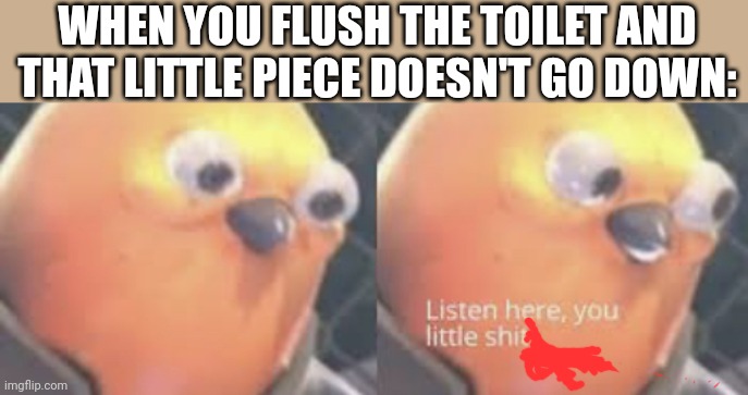 Oh come on right now | WHEN YOU FLUSH THE TOILET AND THAT LITTLE PIECE DOESN'T GO DOWN: | image tagged in listen here you little shit bird | made w/ Imgflip meme maker