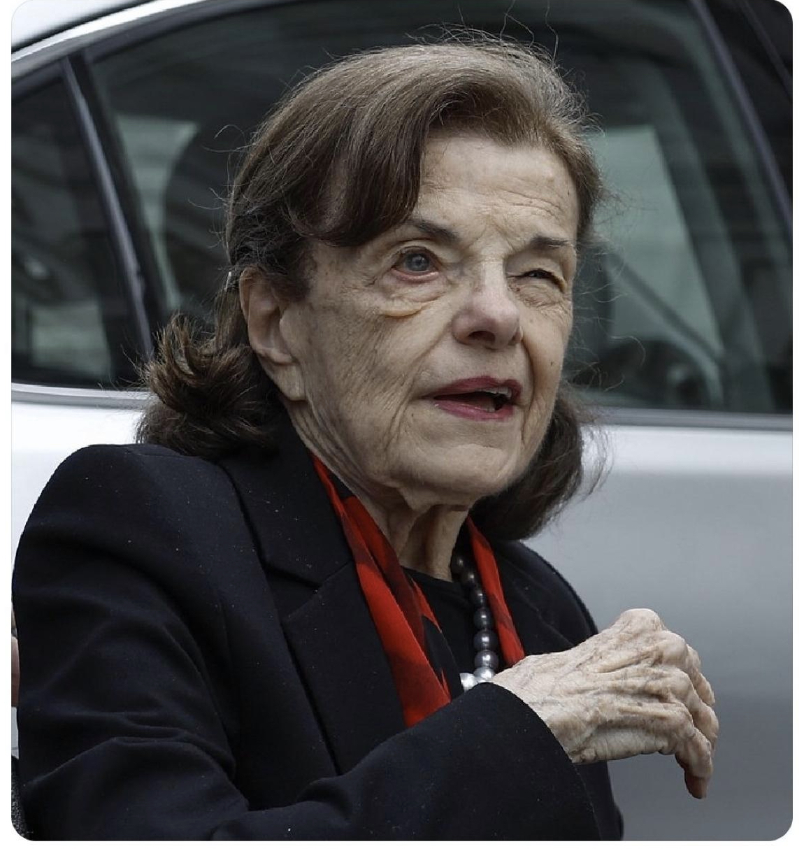 High Quality Senator Diane Feinstein Blank Meme Template