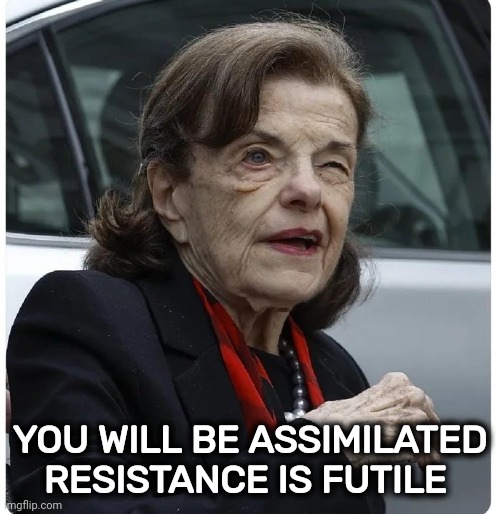 She's had some work done | YOU WILL BE ASSIMILATED
RESISTANCE IS FUTILE | image tagged in diane feinstein,the borg,cyborg,term limits,age restriction | made w/ Imgflip meme maker