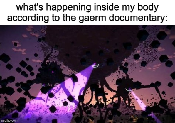 witherstorm | what's happening inside my body according to the gaerm documentary: | image tagged in witherstorm,memes,funny memes | made w/ Imgflip meme maker