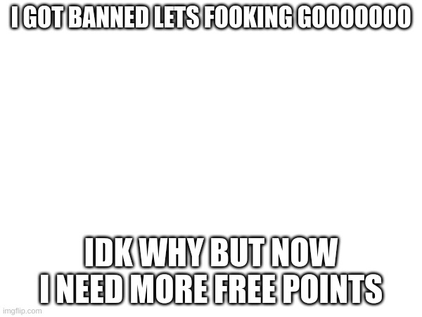 I GOT BANNED LETS FOOKING GOOOOOOO; IDK WHY BUT NOW I NEED MORE FREE POINTS | image tagged in w mods | made w/ Imgflip meme maker