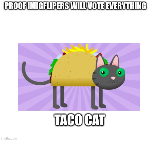 taco cat taco cat spelled the same way front to back | PROOF IMIGFLIPERS WILL VOTE EVERYTHING; TACO CAT | image tagged in blank white template | made w/ Imgflip meme maker