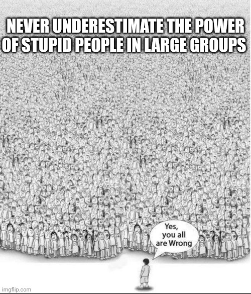 NEVER UNDERESTIMATE THE POWER OF STUPID PEOPLE IN LARGE GROUPS | made w/ Imgflip meme maker