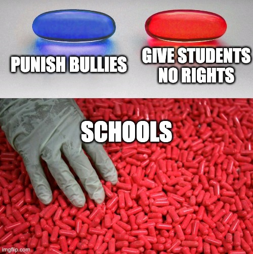 Blue or red pill | PUNISH BULLIES; GIVE STUDENTS NO RIGHTS; SCHOOLS | image tagged in blue or red pill | made w/ Imgflip meme maker