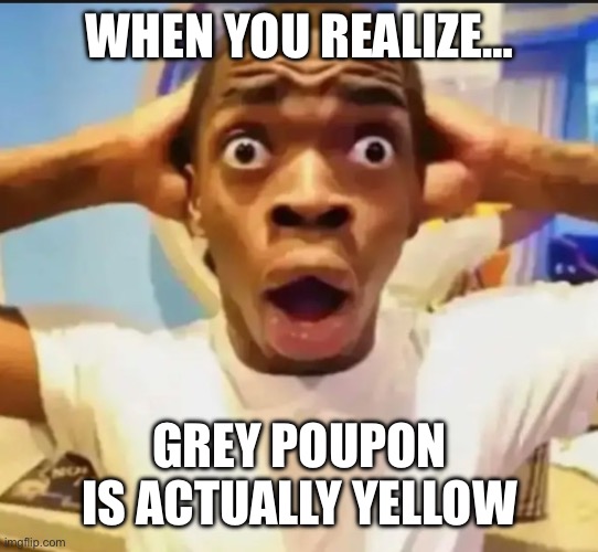 Surprised Black Guy | WHEN YOU REALIZE…; GREY POUPON IS ACTUALLY YELLOW | image tagged in surprised black guy | made w/ Imgflip meme maker