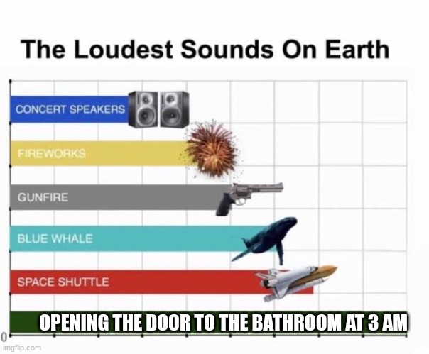 The Loudest Sounds on Earth | OPENING THE DOOR TO THE BATHROOM AT 3 AM | image tagged in the loudest sounds on earth | made w/ Imgflip meme maker