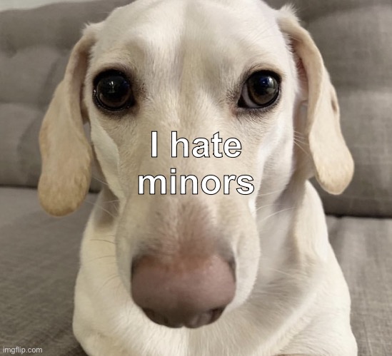 anyways bye chat, gonna play clash of clans and hopefully no more comment ban | I hate minors | image tagged in homophobic dog | made w/ Imgflip meme maker