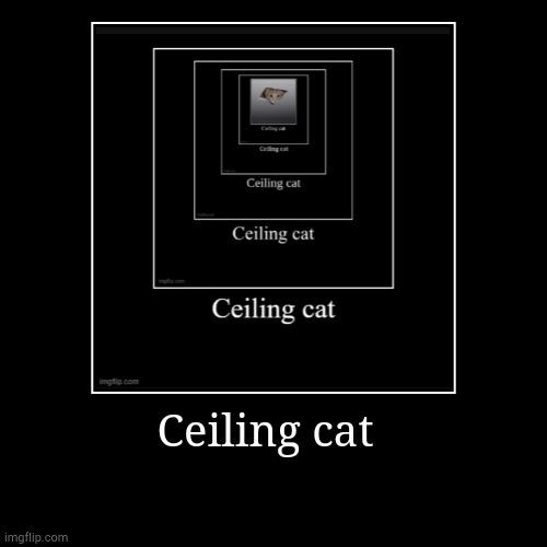 Ceiling cat | Ceiling cat | | image tagged in funny,demotivationals | made w/ Imgflip demotivational maker