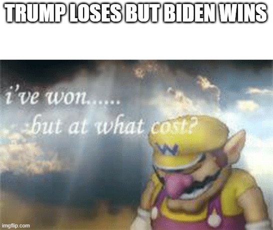 I've won but at what cost? | TRUMP LOSES BUT BIDEN WINS | image tagged in i've won but at what cost | made w/ Imgflip meme maker