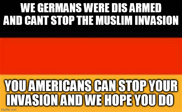 germany flag | WE GERMANS WERE DIS ARMED AND CANT STOP THE MUSLIM INVASION; YOU AMERICANS CAN STOP YOUR INVASION AND WE HOPE YOU DO | image tagged in germany flag | made w/ Imgflip meme maker