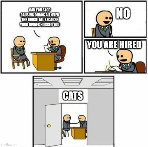 Cats are pretty solitude.... | NO; CAN YOU STOP CAUSING CHAOS ALL OVER THE HOUSE, ALL BECAUSE YOUR OWNER HUGGED YOU; YOU ARE HIRED; CATS | image tagged in you are hired | made w/ Imgflip meme maker