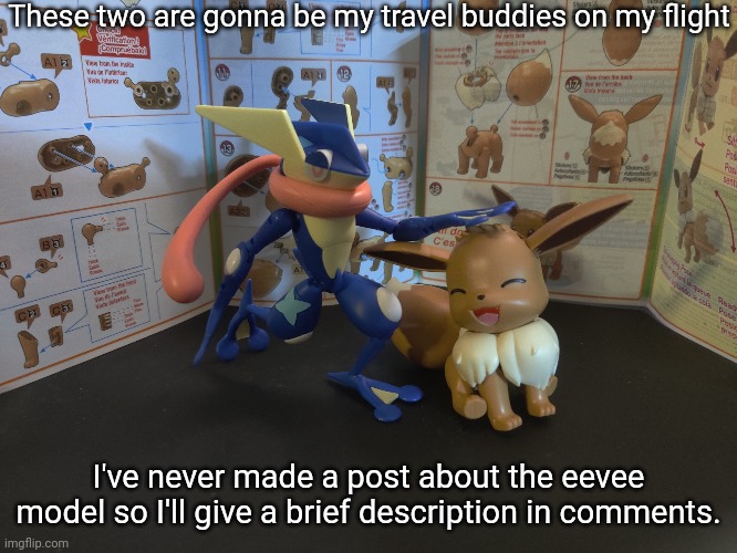 These two are gonna be my travel buddies on my flight; I've never made a post about the eevee model so I'll give a brief description in comments. | made w/ Imgflip meme maker