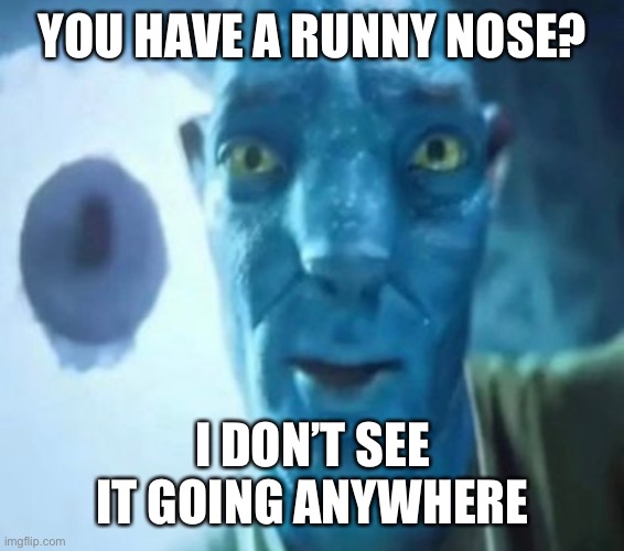 Runny nose | YOU HAVE A RUNNY NOSE? I DON’T SEE IT GOING ANYWHERE | image tagged in avatar guy | made w/ Imgflip meme maker