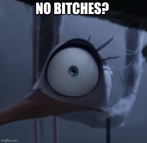No bitches? | NO BITCHES? | image tagged in no bitches,megamind no bitches | made w/ Imgflip meme maker
