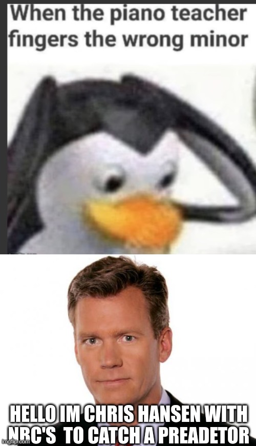 HELLO IM CHRIS HANSEN WITH NBC'S  TO CATCH A PREDATOR | image tagged in chris hansen | made w/ Imgflip meme maker