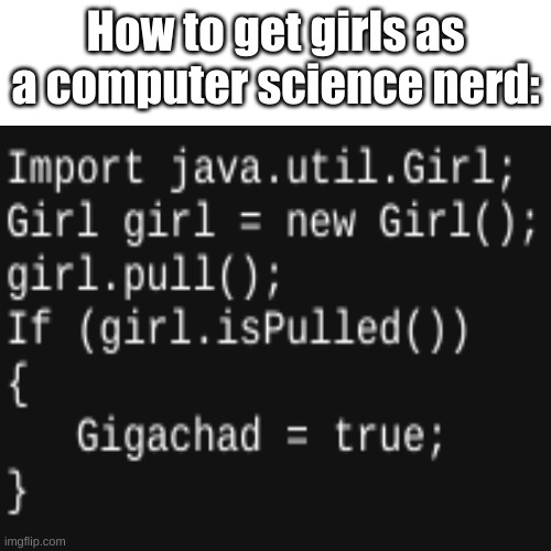 It works, trust | How to get girls as a computer science nerd: | image tagged in probably the tiniest template | made w/ Imgflip meme maker
