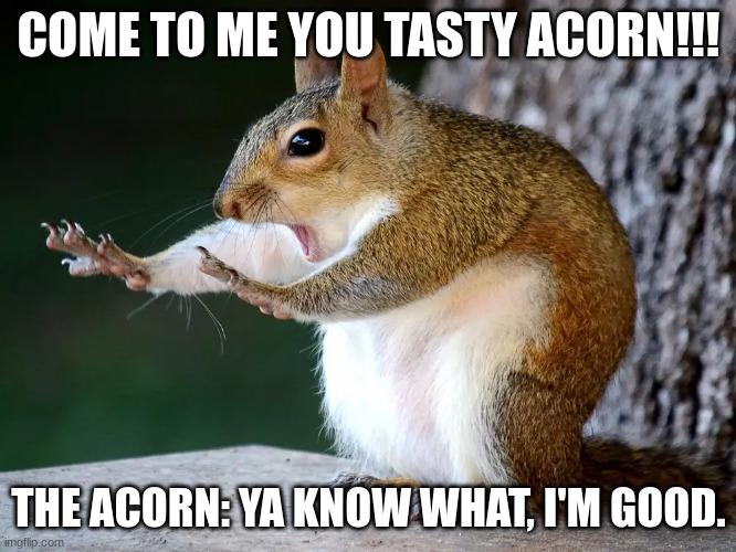 Super squirrel | COME TO ME YOU TASTY ACORN!!! THE ACORN: YA KNOW WHAT, I'M GOOD. | image tagged in super squirrel | made w/ Imgflip meme maker