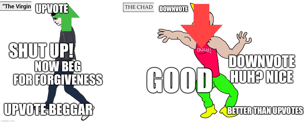 If you like upvotes then sorry | UPVOTE; DOWNVOTE; SHUT UP! DOWNVOTE HUH? NICE; NOW BEG FOR FORGIVENESS; GOOD; UPVOTE BEGGAR; BETTER THAN UPVOTES | image tagged in virgin and chad,memes | made w/ Imgflip meme maker