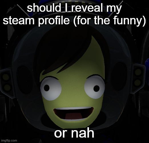 Happy kerbal | should I reveal my steam profile (for the funny); or nah | image tagged in happy kerbal | made w/ Imgflip meme maker