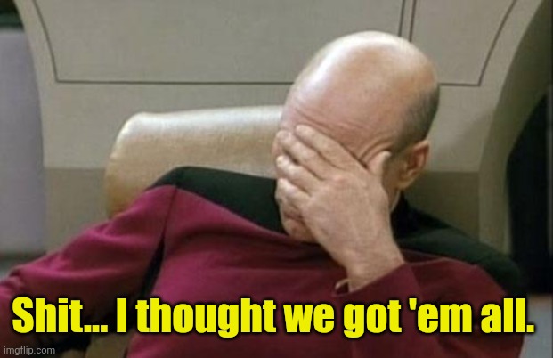 Captain Picard Facepalm Meme | Shit... I thought we got 'em all. | image tagged in memes,captain picard facepalm | made w/ Imgflip meme maker