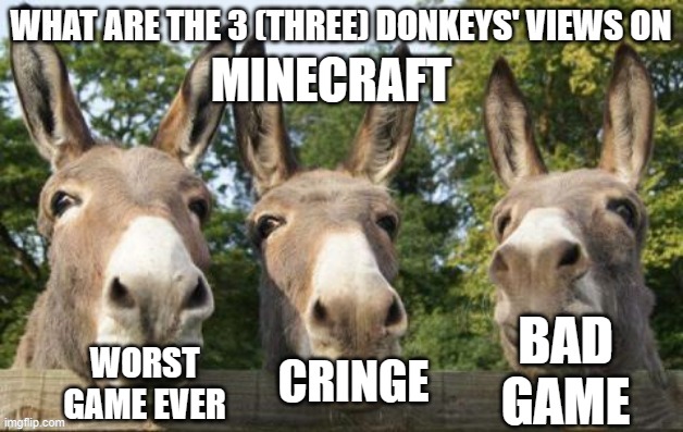 What are the 3 (three) donkeys' views on X | MINECRAFT; BAD GAME; WORST GAME EVER; CRINGE | image tagged in what are the 3 three donkeys' views on x | made w/ Imgflip meme maker