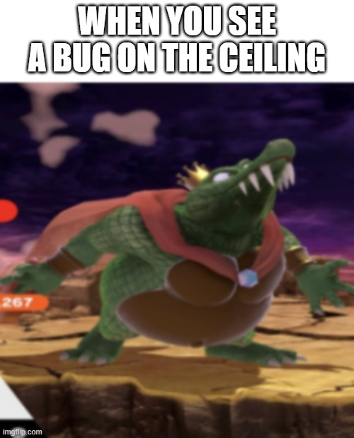 When you see a bug on the ceiling-King K. Rool meme | WHEN YOU SEE A BUG ON THE CEILING | image tagged in super smash bros,memes,funny | made w/ Imgflip meme maker