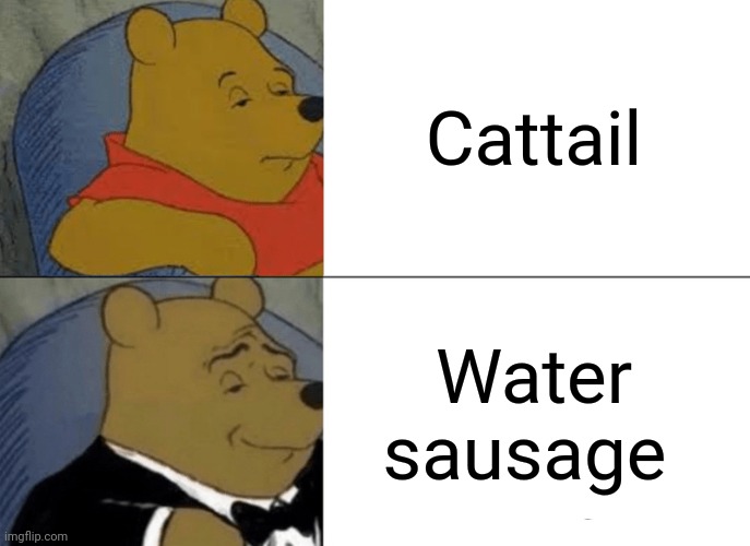 Tuxedo Winnie The Pooh Meme | Cattail; Water sausage | image tagged in memes,tuxedo winnie the pooh | made w/ Imgflip meme maker
