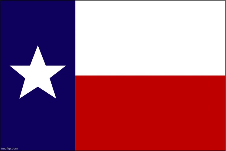 Used in comment | image tagged in texas flag refugees welcome | made w/ Imgflip meme maker