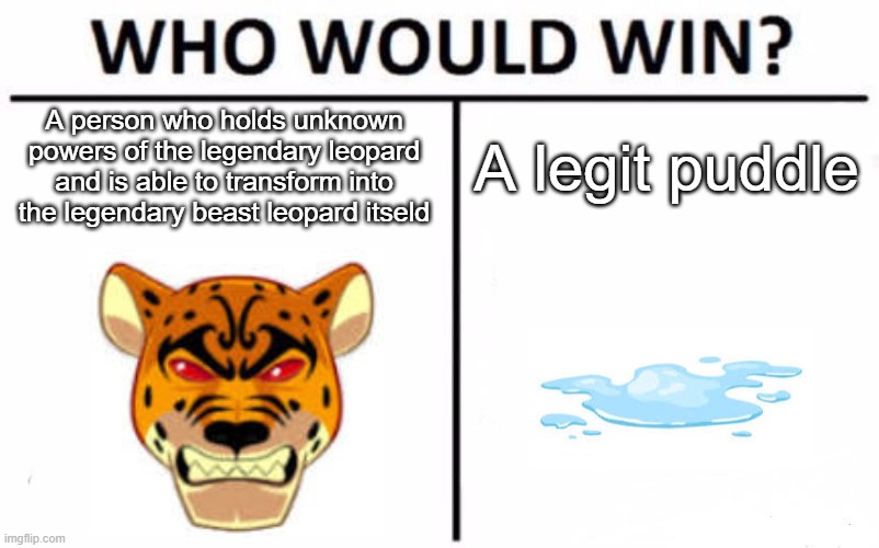 Blox fruits makes no sense | A person who holds unknown powers of the legendary leopard and is able to transform into the legendary beast leopard itseld; A legit puddle | image tagged in memes,who would win | made w/ Imgflip meme maker