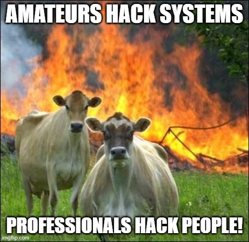 So life-hacks are both perfect and stupid. | AMATEURS HACK SYSTEMS; PROFESSIONALS HACK PEOPLE! | image tagged in memes,evil cows,life hacks,useless stuff | made w/ Imgflip meme maker