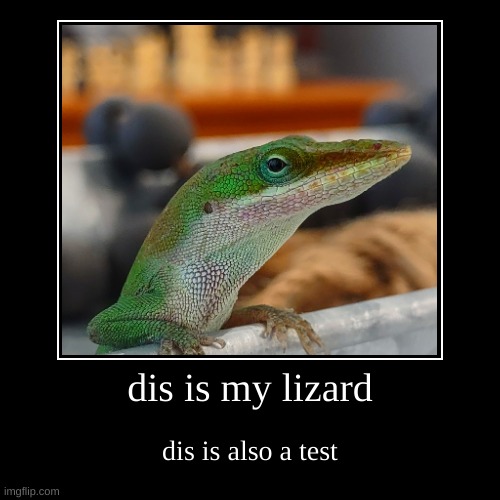 dis is my lizard | dis is also a test | image tagged in funny,demotivationals,test | made w/ Imgflip demotivational maker