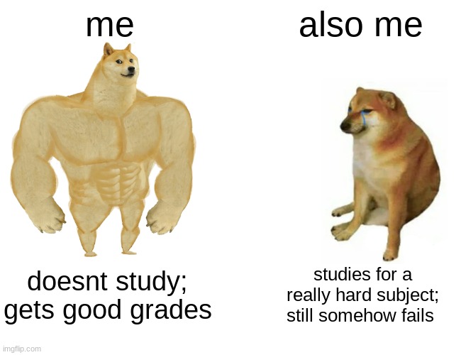me recently T-T | me; also me; doesnt study; gets good grades; studies for a really hard subject; still somehow fails | image tagged in memes,buff doge vs cheems | made w/ Imgflip meme maker