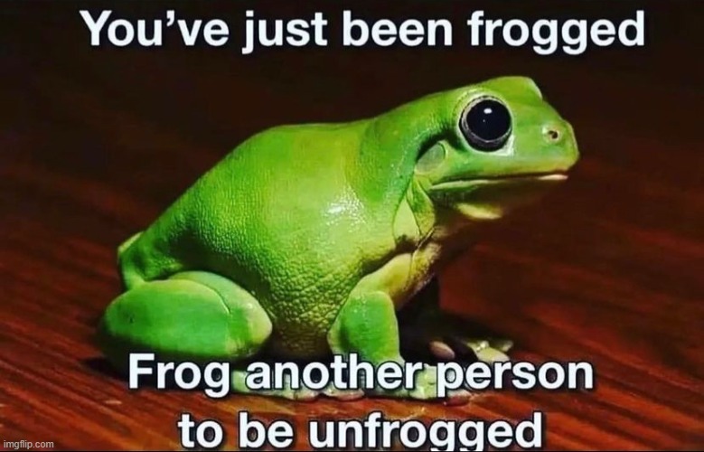Used in comment | image tagged in you ve just been frogged | made w/ Imgflip meme maker