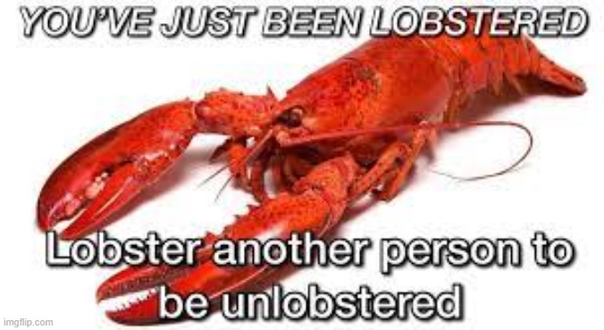 Used in comment | image tagged in you've just been lobstered | made w/ Imgflip meme maker