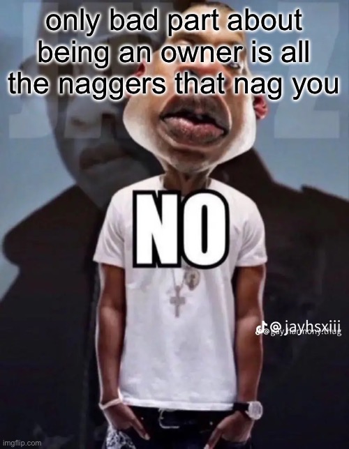 No | only bad part about being an owner is all the naggers that nag you | image tagged in no | made w/ Imgflip meme maker