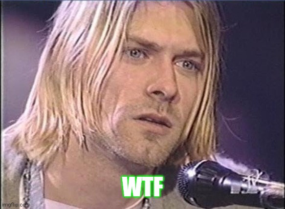 Kurt Cobain shut up | WTF | image tagged in kurt cobain shut up | made w/ Imgflip meme maker