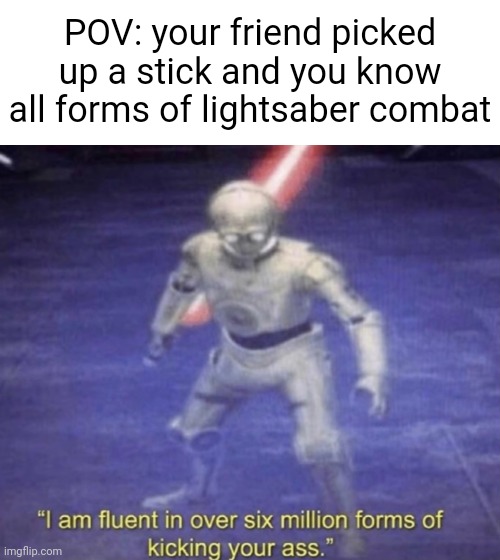 Needed something to use this template for. | POV: your friend picked up a stick and you know all forms of lightsaber combat | image tagged in i am fluent in over six million forms of kicking your ass | made w/ Imgflip meme maker