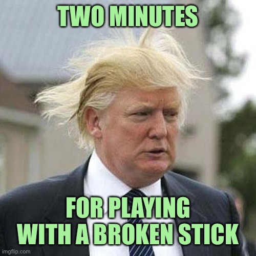 Donald Trump | TWO MINUTES; FOR PLAYING WITH A BROKEN STICK | image tagged in donald trump | made w/ Imgflip meme maker
