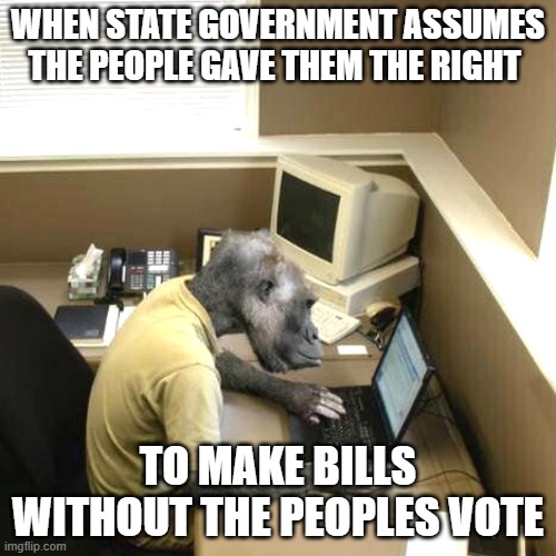 Monkey Business Meme | WHEN STATE GOVERNMENT ASSUMES THE PEOPLE GAVE THEM THE RIGHT; TO MAKE BILLS WITHOUT THE PEOPLES VOTE | image tagged in memes,monkey business | made w/ Imgflip meme maker