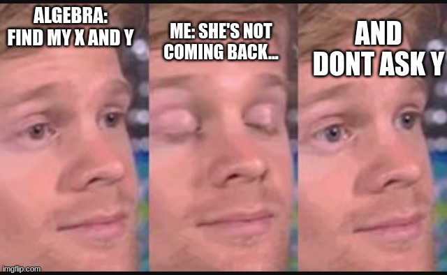 Blinking guy | ALGEBRA: FIND MY X AND Y; ME: SHE'S NOT COMING BACK... AND DON'T ASK Y | image tagged in blinking guy | made w/ Imgflip meme maker
