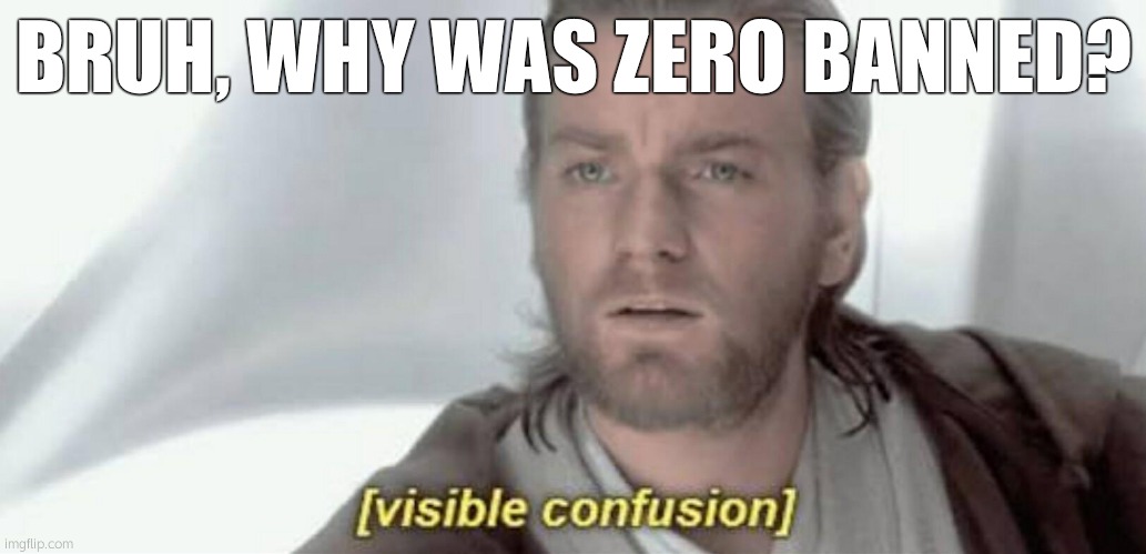 Give me a legitimate reason | BRUH, WHY WAS ZERO BANNED? | image tagged in visible confusion | made w/ Imgflip meme maker
