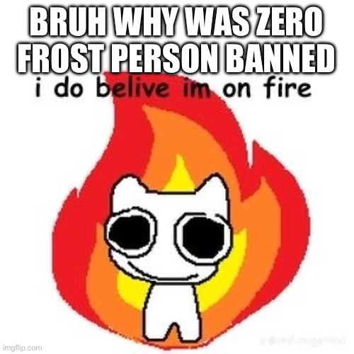 something about zoophilia or some shit | BRUH WHY WAS ZERO FROST PERSON BANNED | image tagged in mmmm diagnosed adhd | made w/ Imgflip meme maker