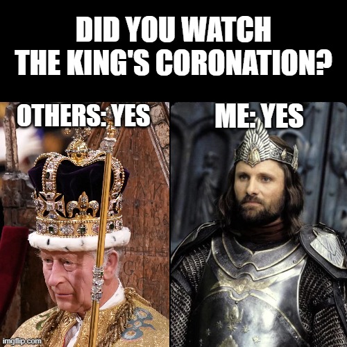 There is one true King | DID YOU WATCH THE KING'S CORONATION? OTHERS: YES; ME: YES | image tagged in lotr,lord of the rings,aragorn | made w/ Imgflip meme maker