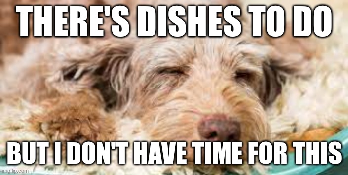 I don't have time for this | THERE'S DISHES TO DO; BUT I DON'T HAVE TIME FOR THIS | image tagged in i don't have time for this | made w/ Imgflip meme maker