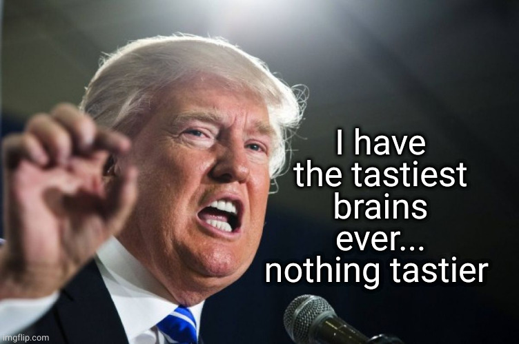 donald trump | I have the tastiest brains ever... nothing tastier | image tagged in donald trump | made w/ Imgflip meme maker