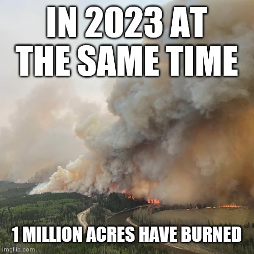 Canadian Wildfires; In 2022 1000 Acres Had Burned | IN 2023 AT THE SAME TIME; 1 MILLION ACRES HAVE BURNED | image tagged in arsonist,elf,oil,natural gas | made w/ Imgflip meme maker