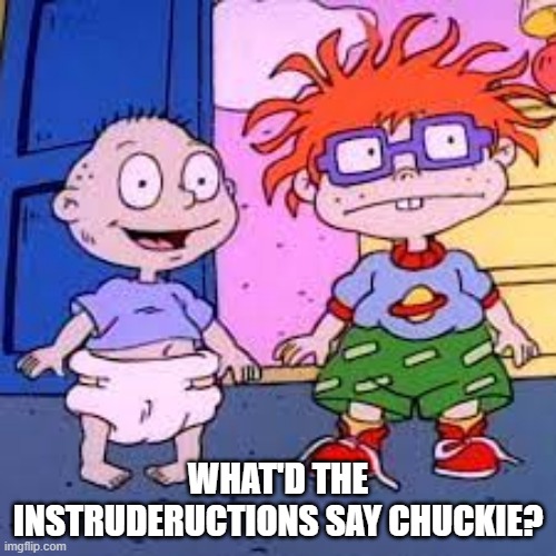 WHAT'D THE INSTRUDERUCTIONS SAY CHUCKIE? | image tagged in tommy and chuckie,rugrats | made w/ Imgflip meme maker